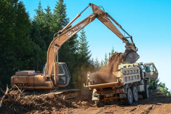 روك بيت كازينو الدعم